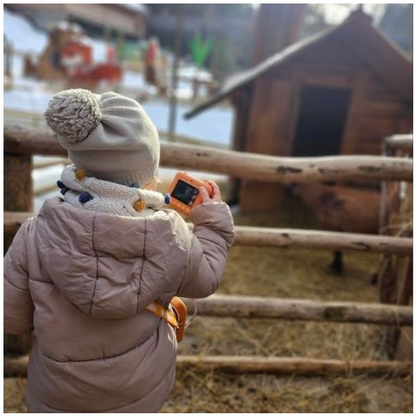 Appareil photo numérique à impression Zoo Print - Ours