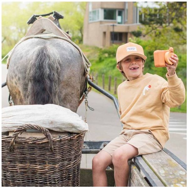 Appareil photo numérique à impression Zoo Print - Ours