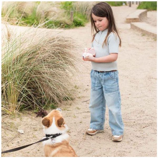 Caméra Zoo Video - Licorne