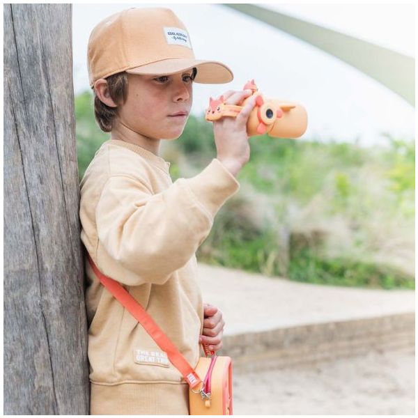 Caméra Zoo Video - Renard