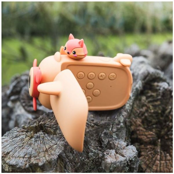 Caméra Zoo Video - Renard