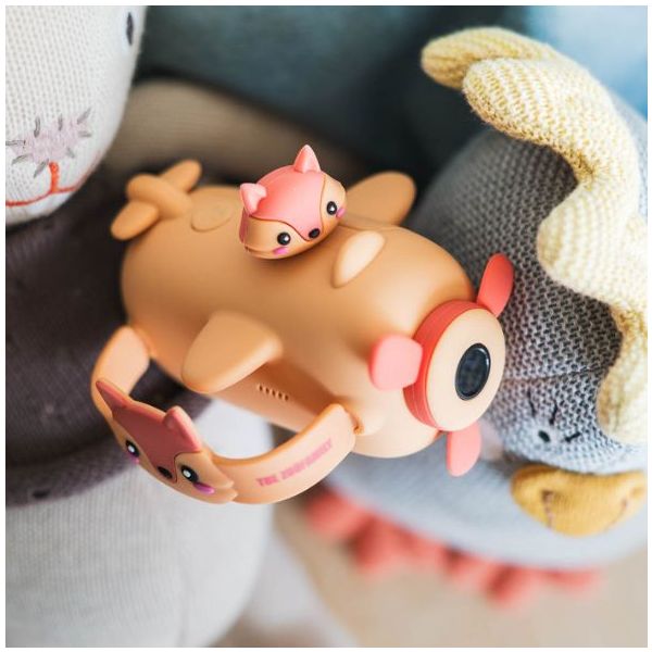 Caméra Zoo Video - Renard