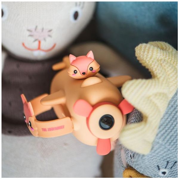 Caméra Zoo Video - Renard