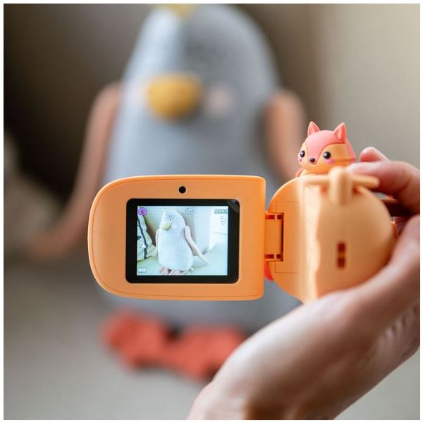 Caméra Zoo Video - Renard