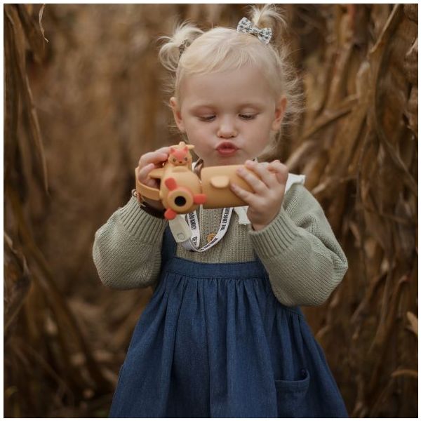 Caméra Zoo Video - Renard