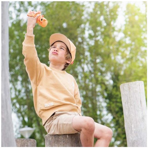 Caméra Zoo Video - Renard