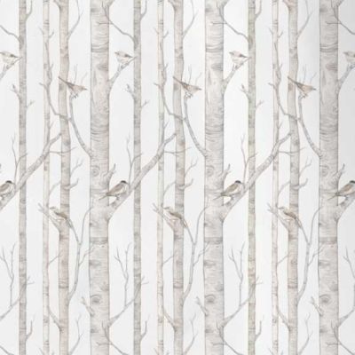 Papier peint Forêt de Bouleaux