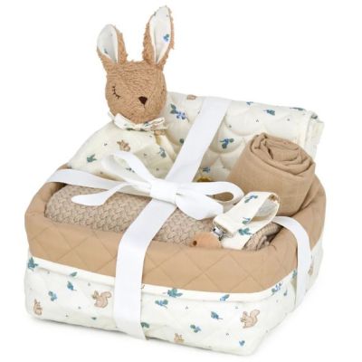 Baby Shower Hamper - Blueberries