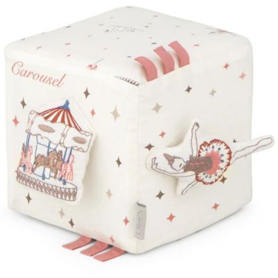 Activity Cube - Carousel