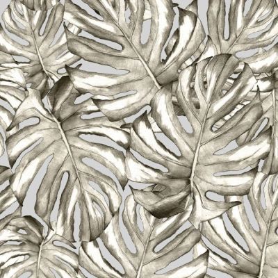 Papier Peint Jardin Botanique - Gris