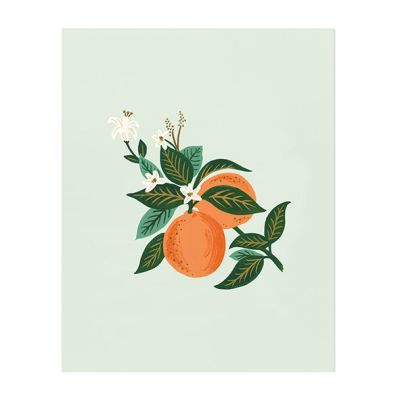 Affiche 40 x 50 cm - Orange Blossom